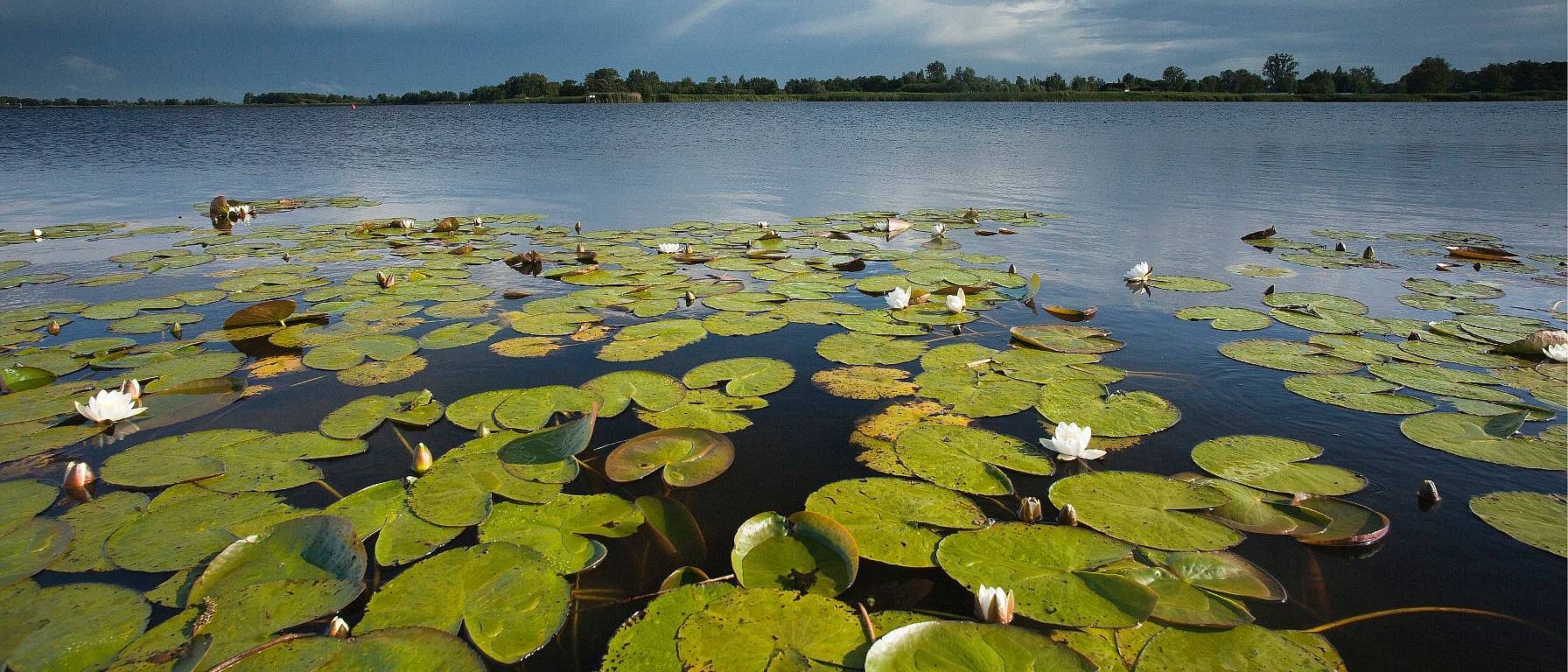 Natuurmonumenten over klimaatbuffers