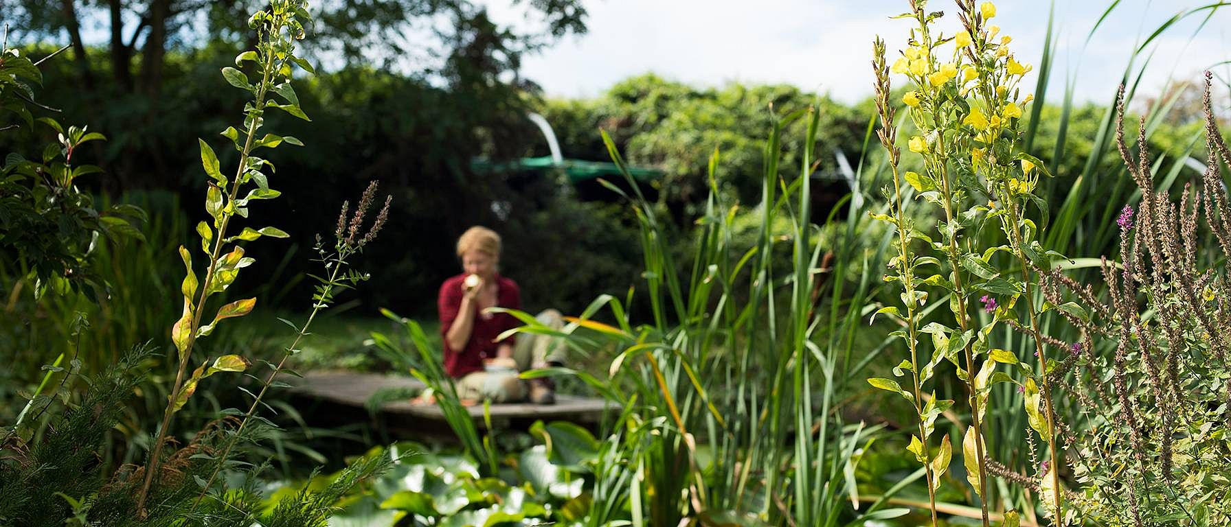 biodiversiteit