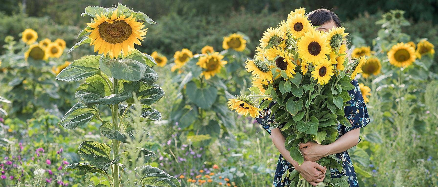 Vrouwen in een zonnebloemveld