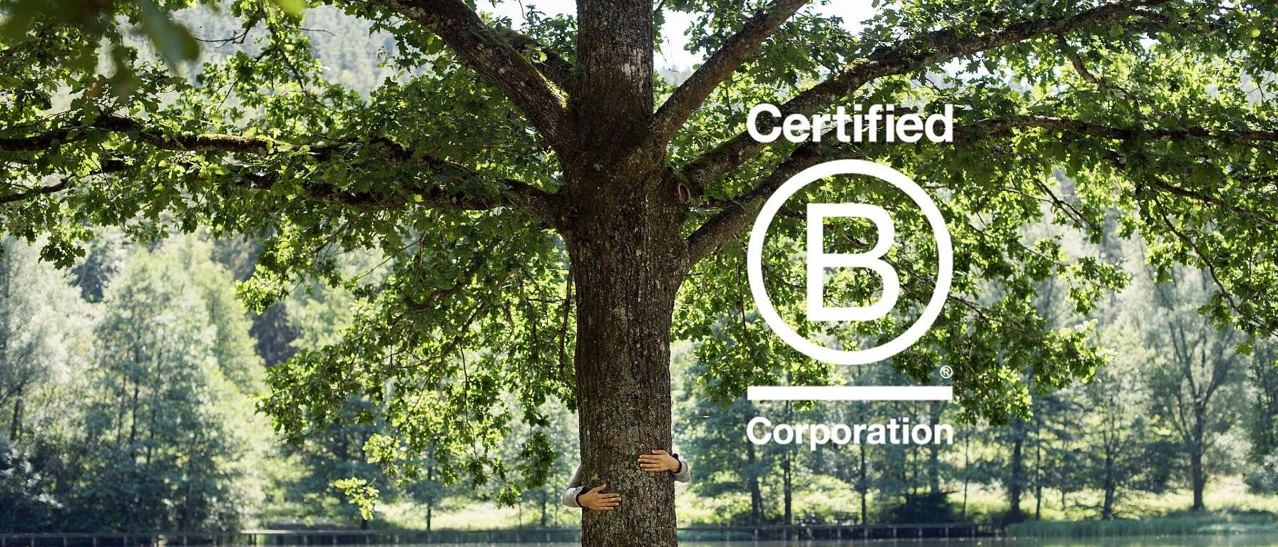 Weleda B Corp boom in groen landschap