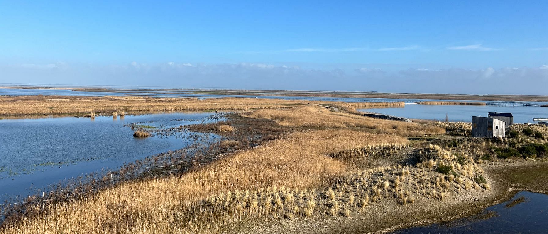 wadden