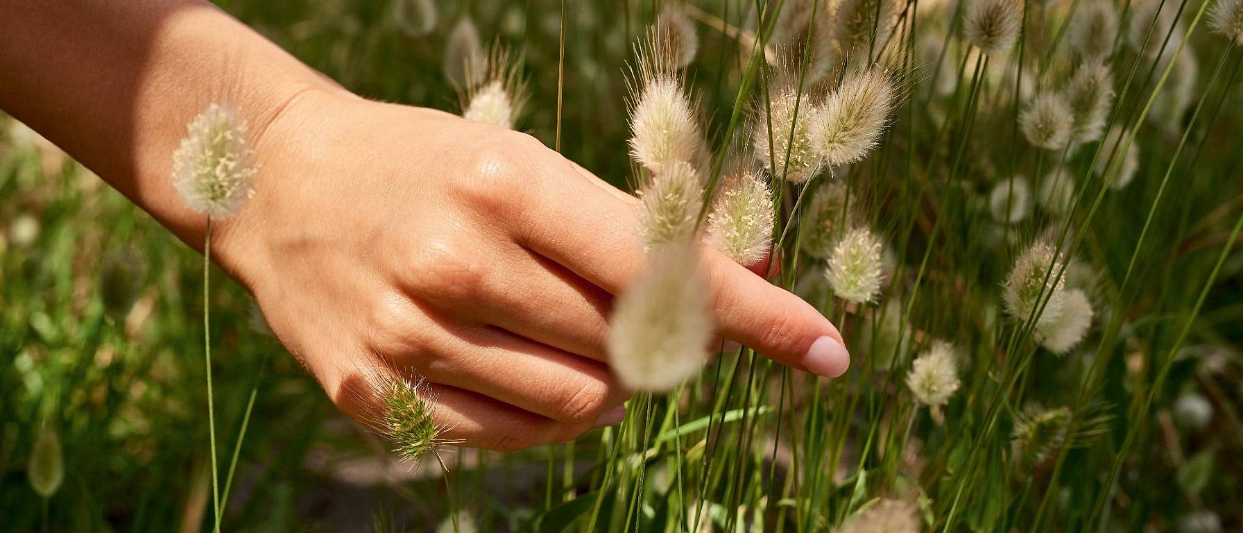 natuur
