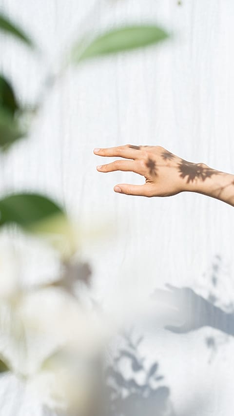 hand met planten schaduw