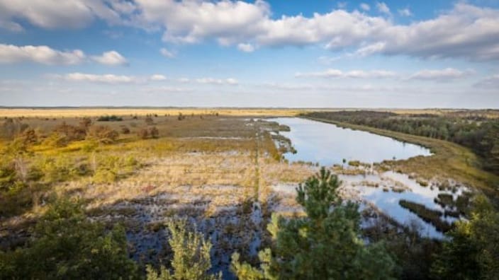 klimaatbuffer