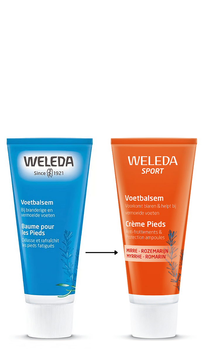 Sport Voetbalsem