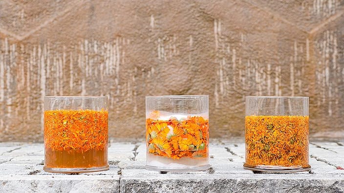 calendula bloemenvaasjes