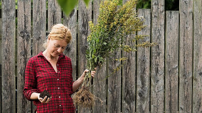 vrouw met aarde in hand