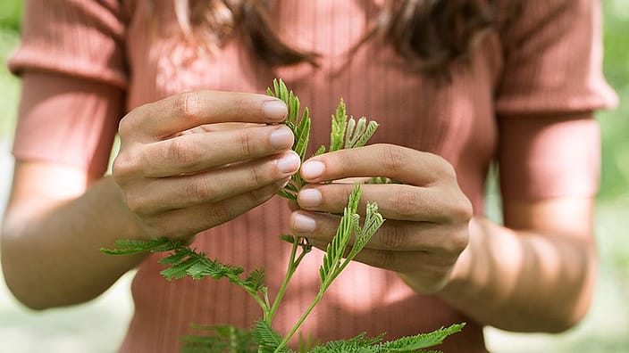 bloemen in hand