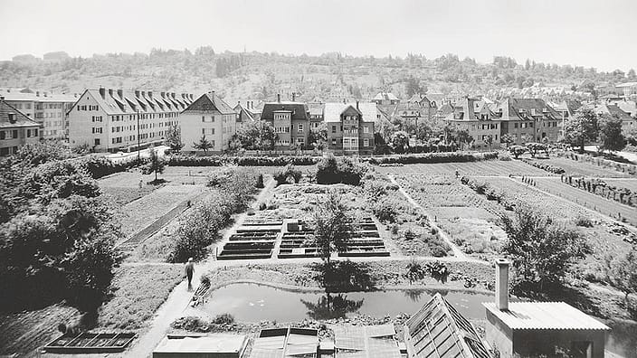 Weleda-tuin vroeger