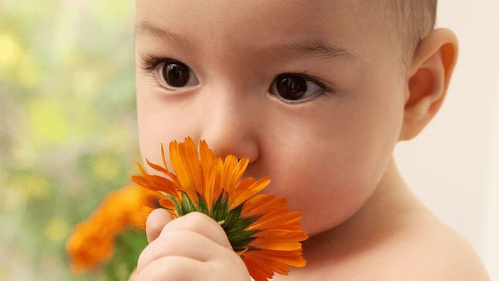 Baby met Calendula bloem