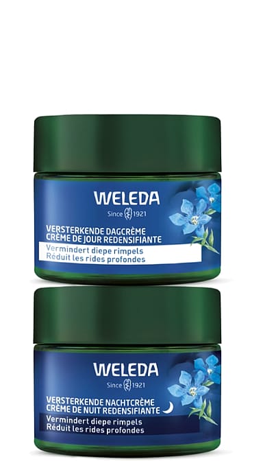Versterkend Duo