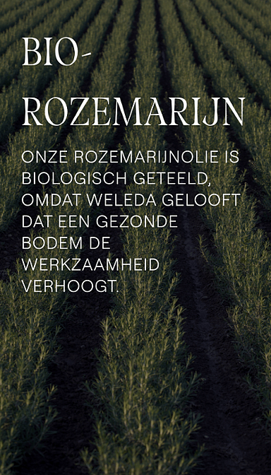 Rozemarijn Revitaliserende Shampoo