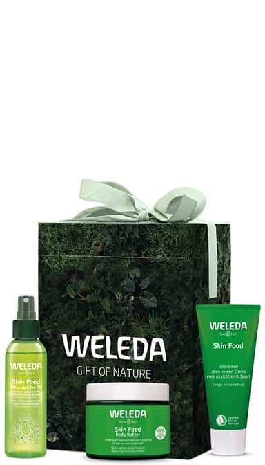 Skin Food Gift of Nature Deluxe