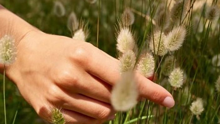 Hand door een veld met bloemengeuren
