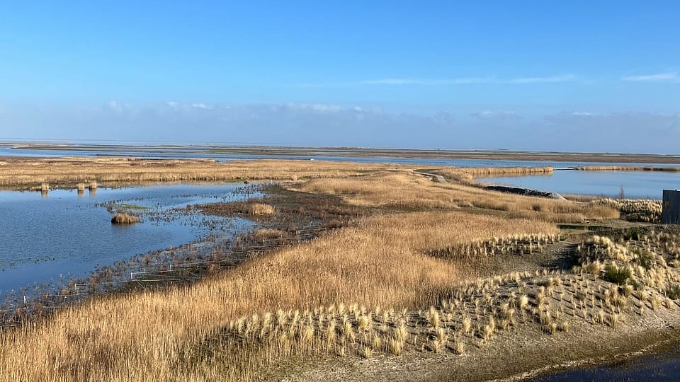 wadden