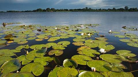 Natuurmonumenten over klimaatbuffers