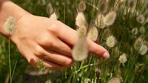 natuur