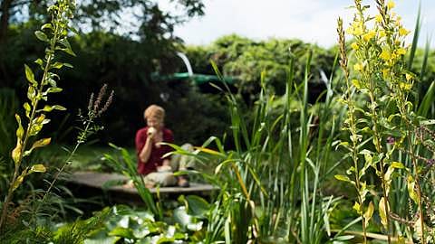 biodiversiteit