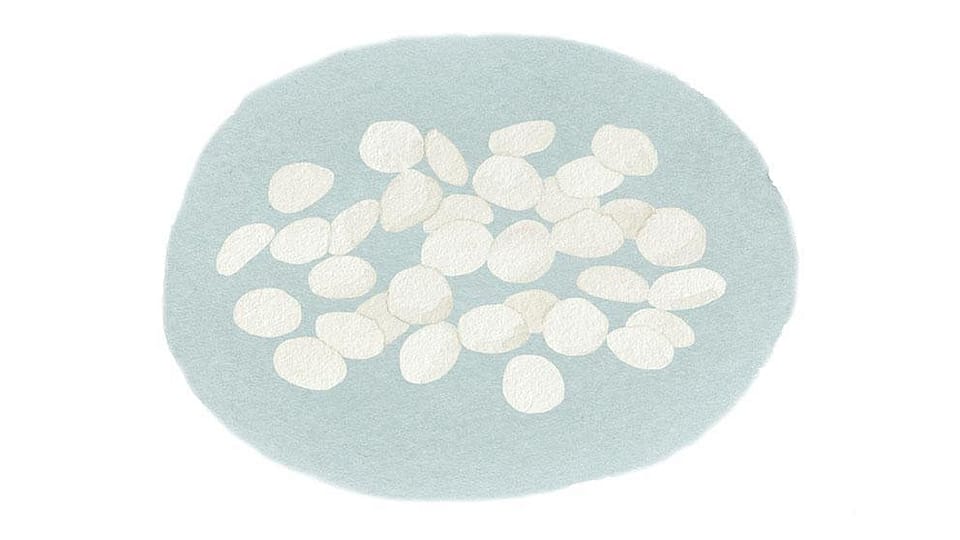 Kokoszuur