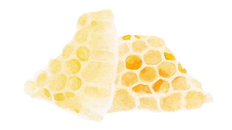 Cera beeswax deals
