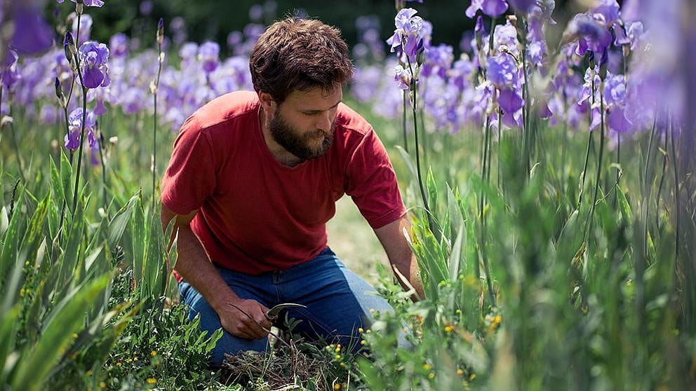 Farmer in field